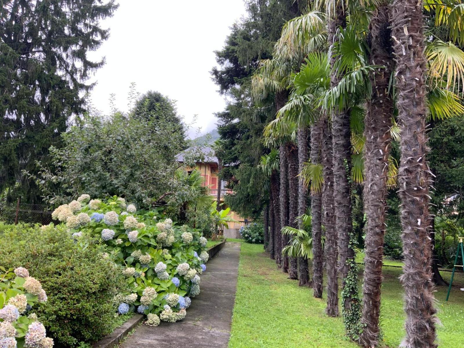 Maccagno Villa Del Castanar מראה חיצוני תמונה